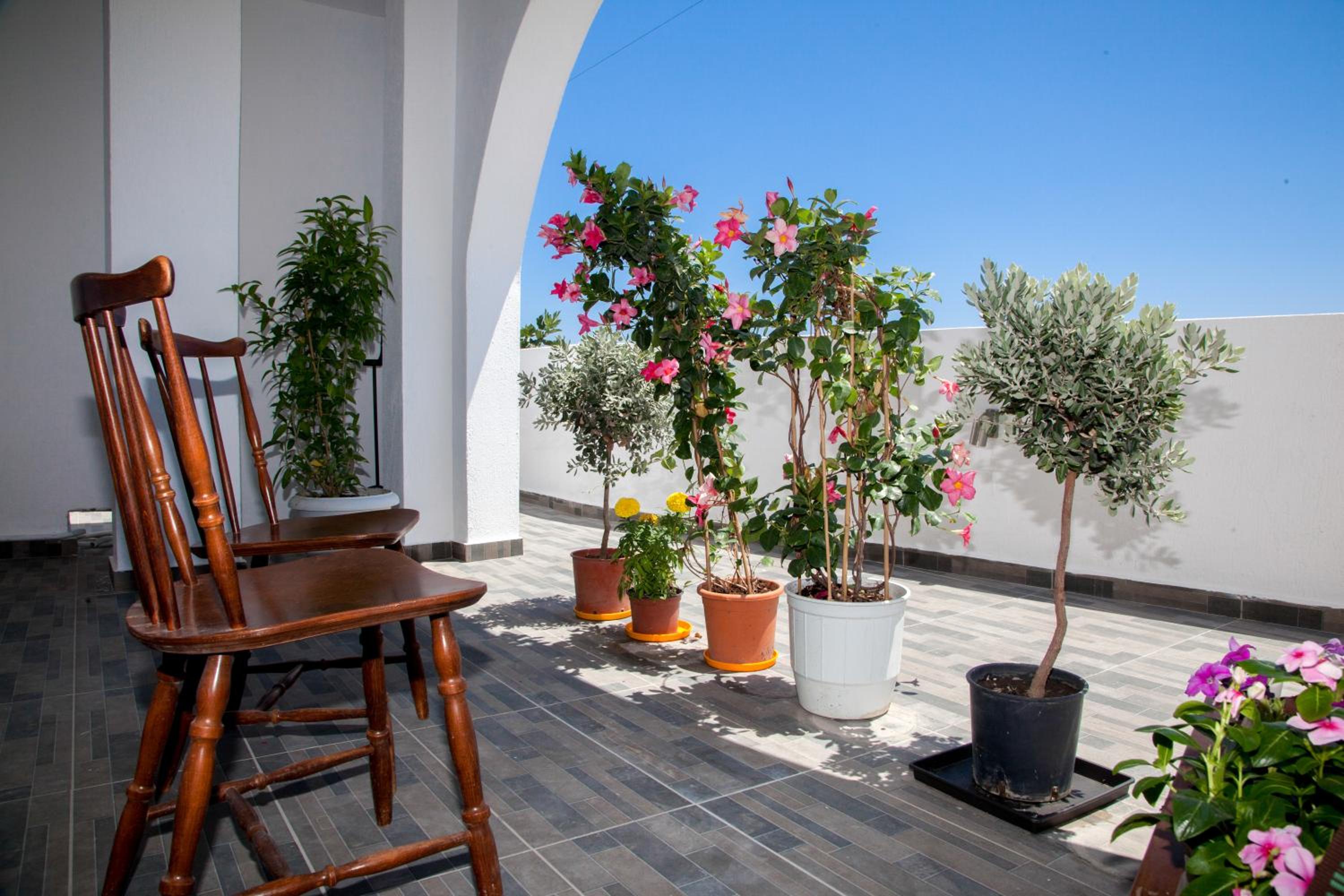 Superior Veranda Studio with Sea view - Photo 13