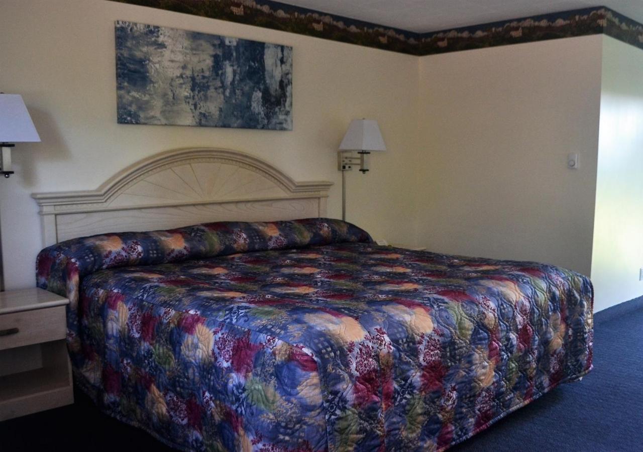 King Room photo 1