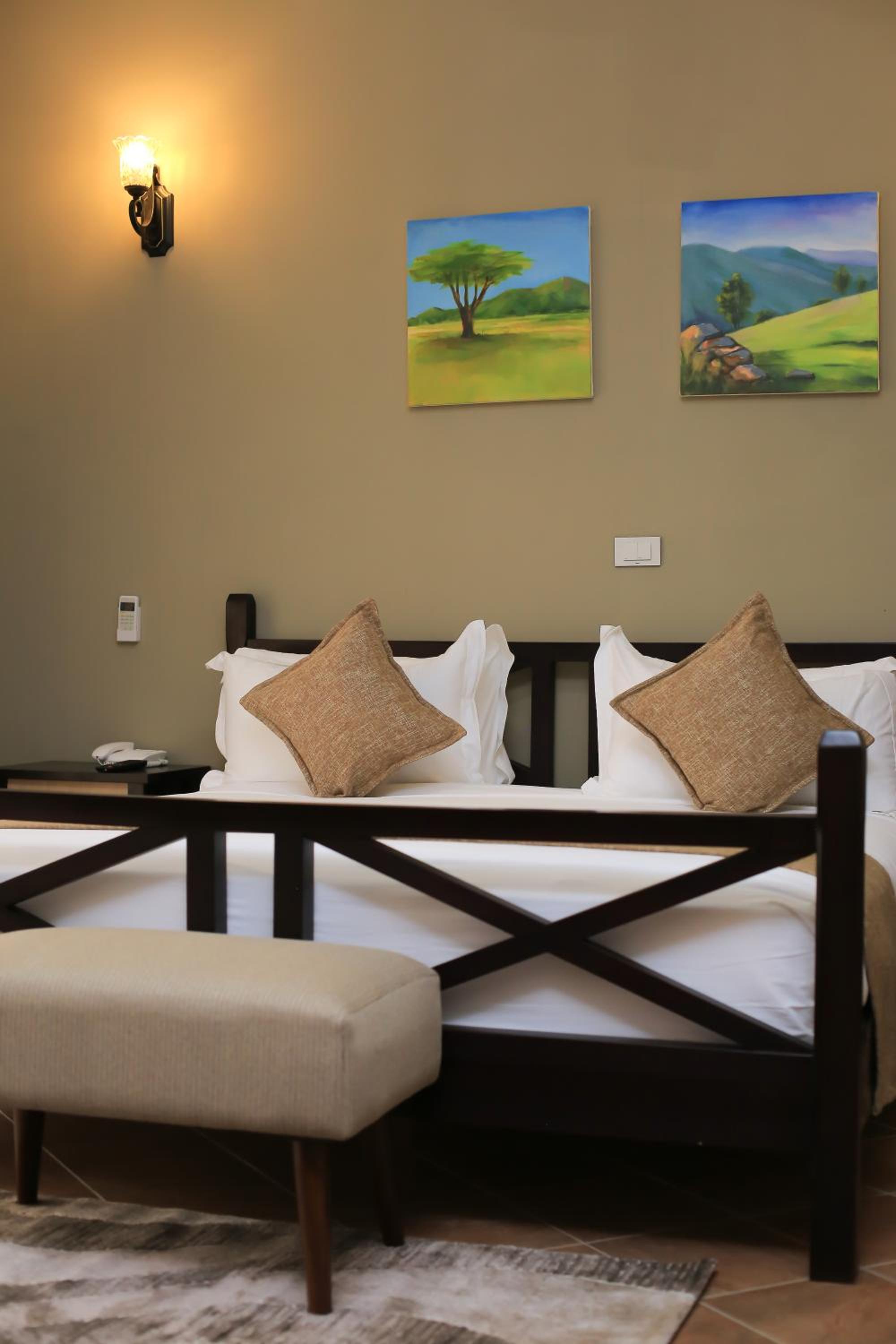 Suite - Photo 2