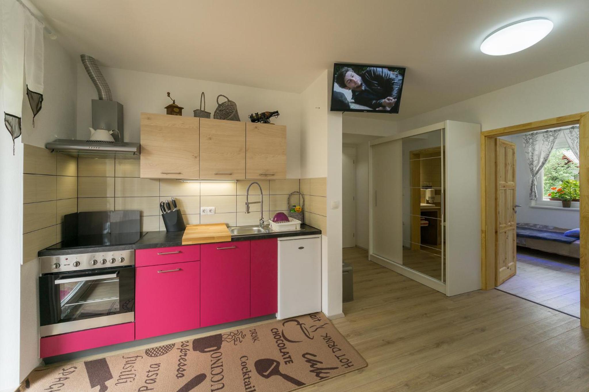 Apartment with Mountain View - Photo 13