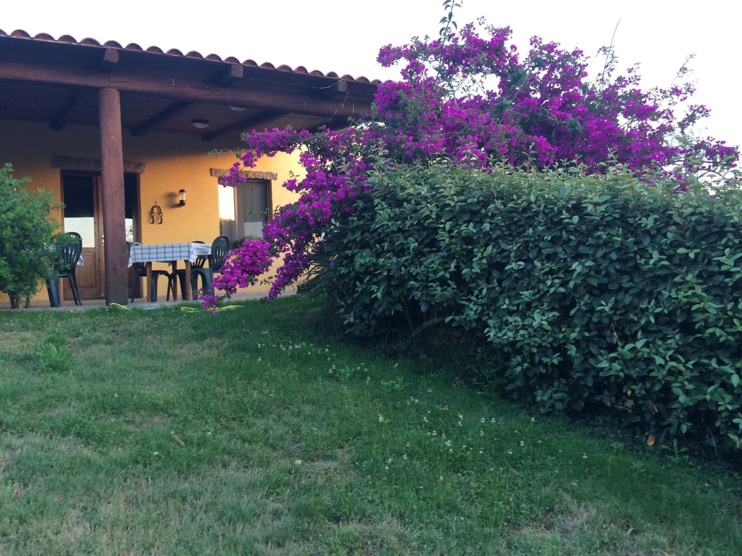 Studio with Terrace photo 2