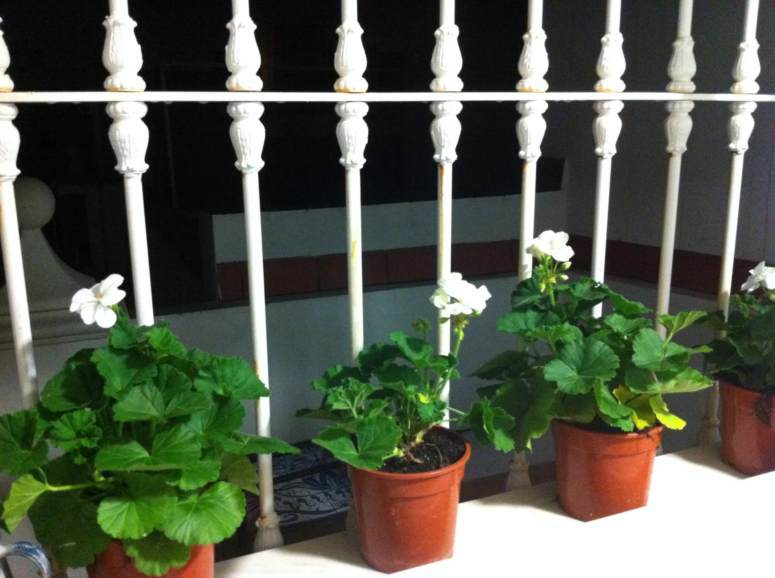 Apartment - Photo 14