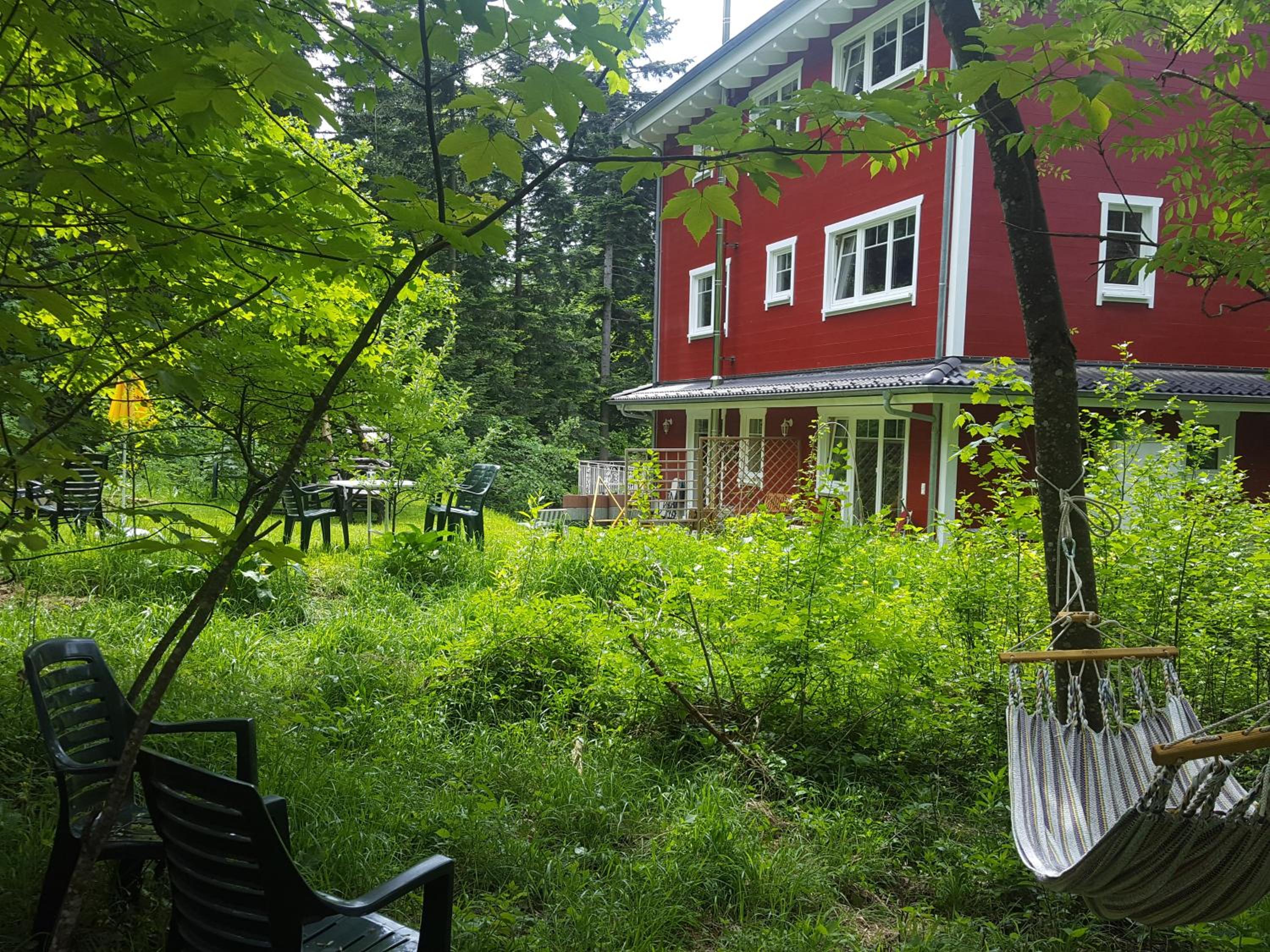 Studio With Garden View photo 3