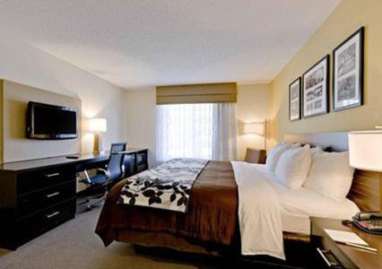 King Room - Non-Smoking - Photo 1