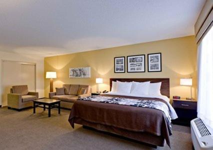 King Room - Non-Smoking - Photo 4