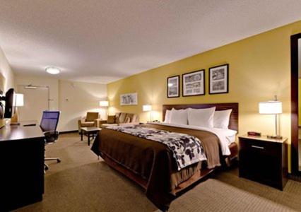 King Room - Non-Smoking - Photo 3