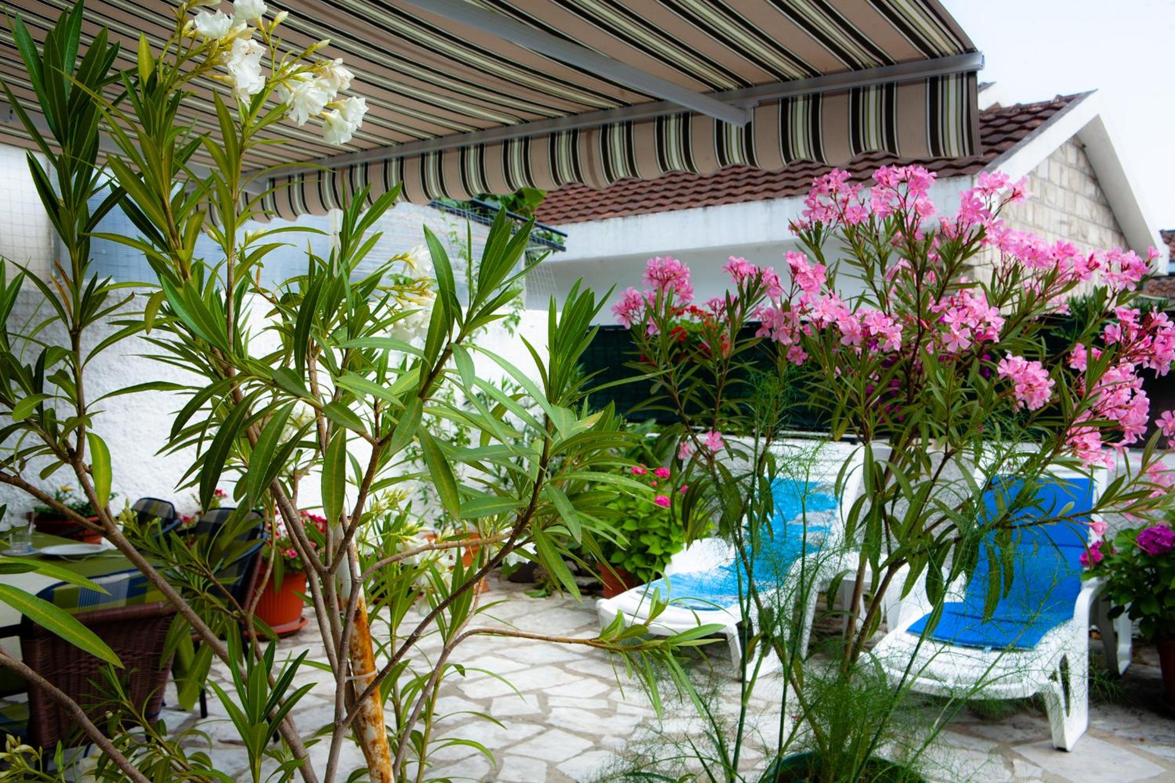 Apartment with Terrace