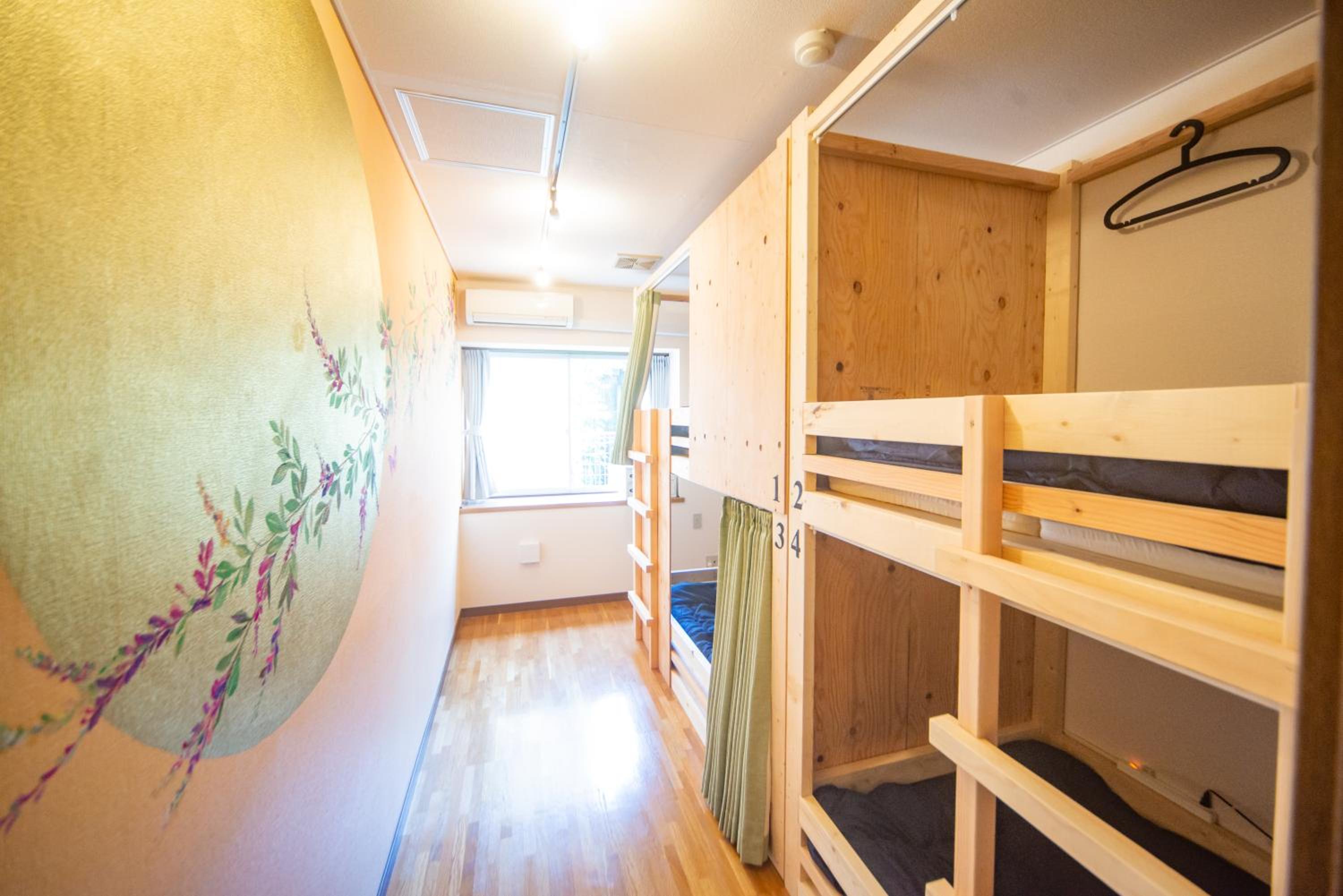 Bunk Bed in Mixed Dormitory Room photo 1