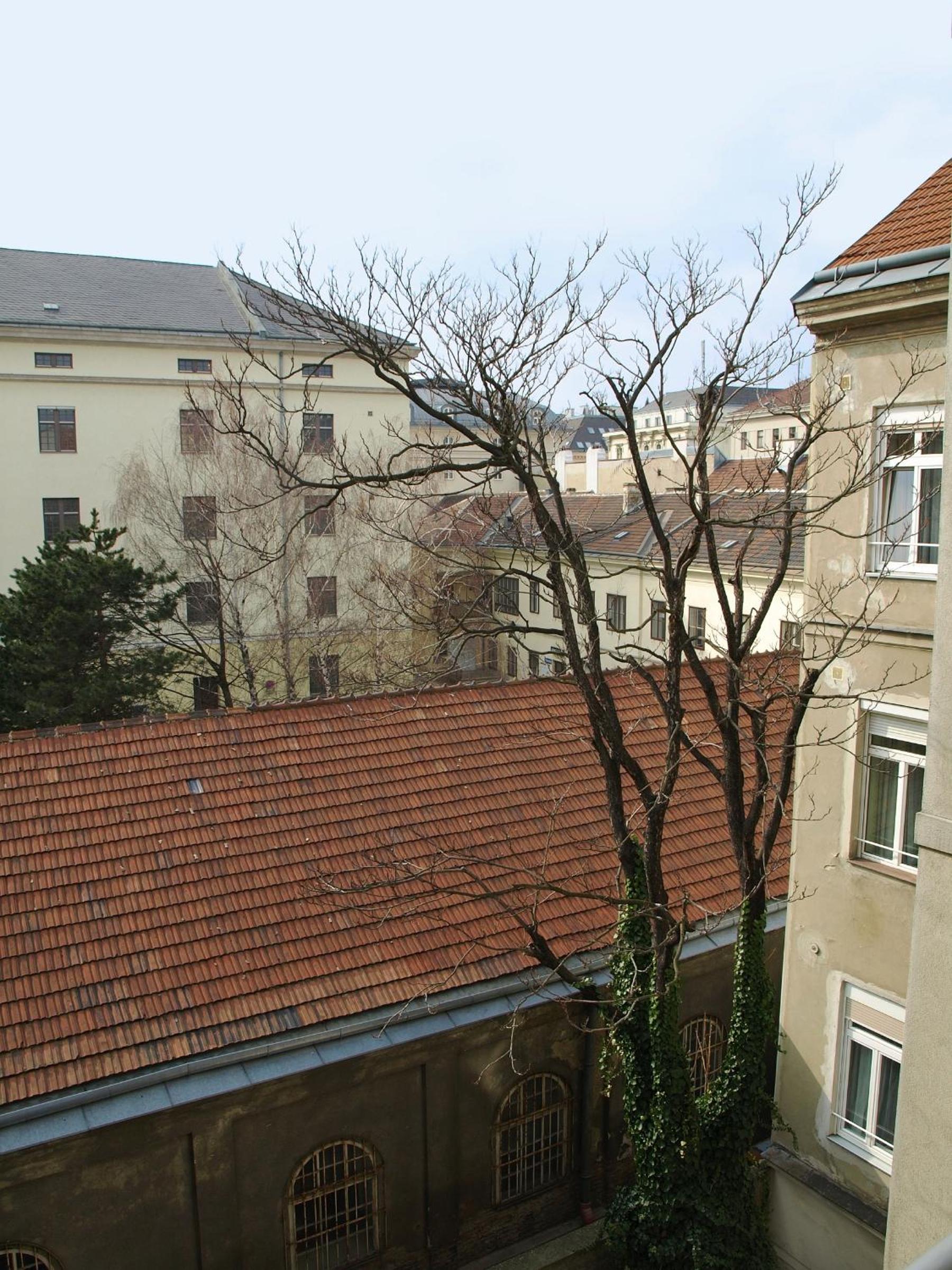 Single Room with Shared Toilet