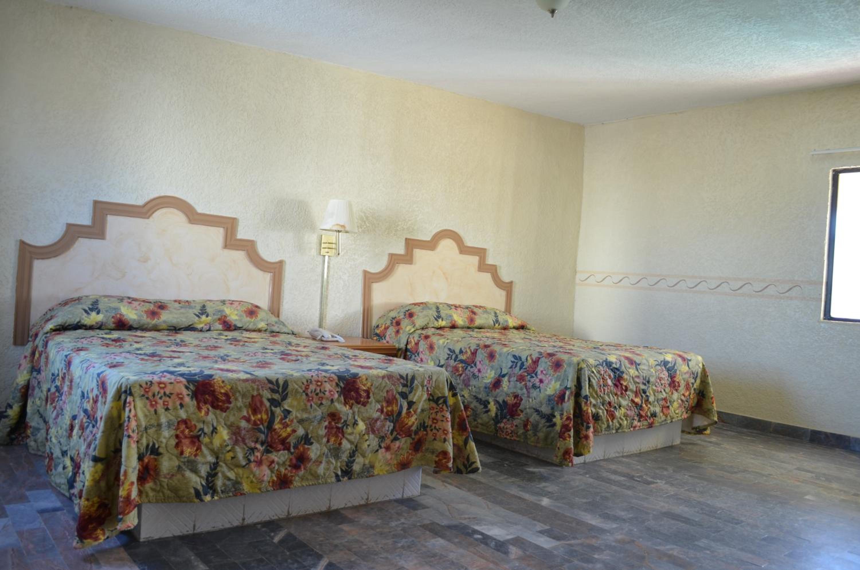 Quadruple Room - Photo 5