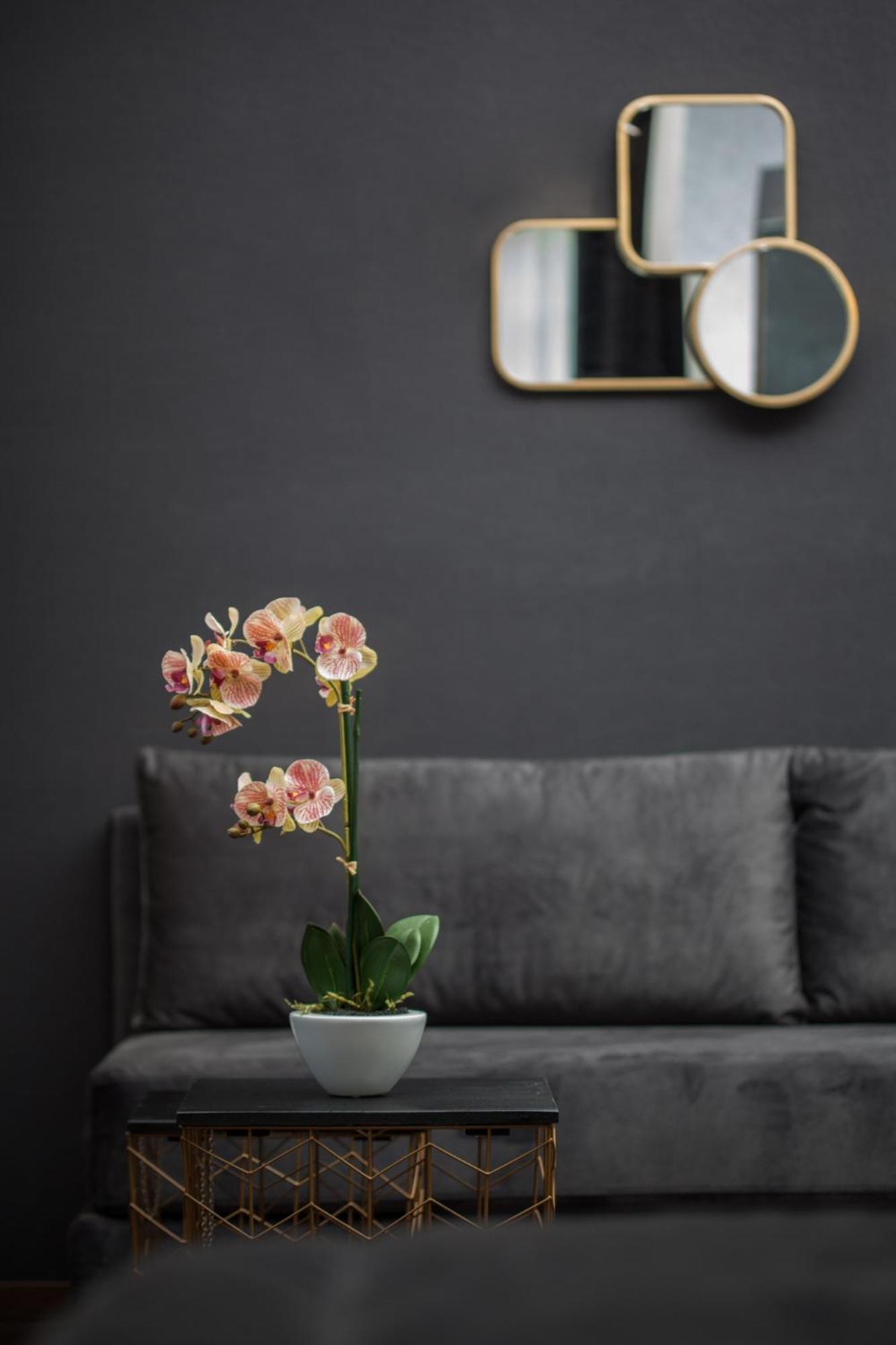Junior Suite photo 1
