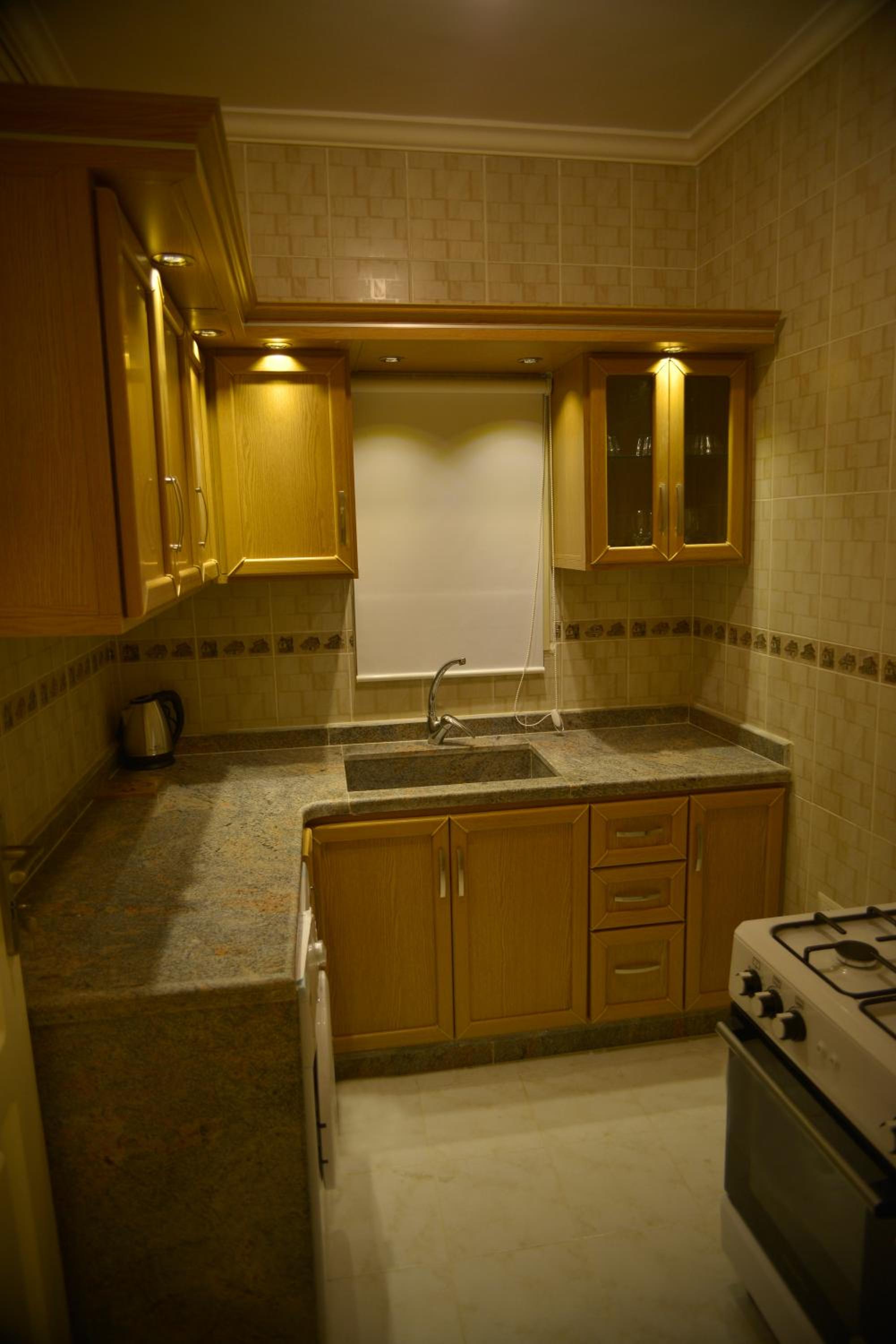 One-Bedroom Apartment photo 3