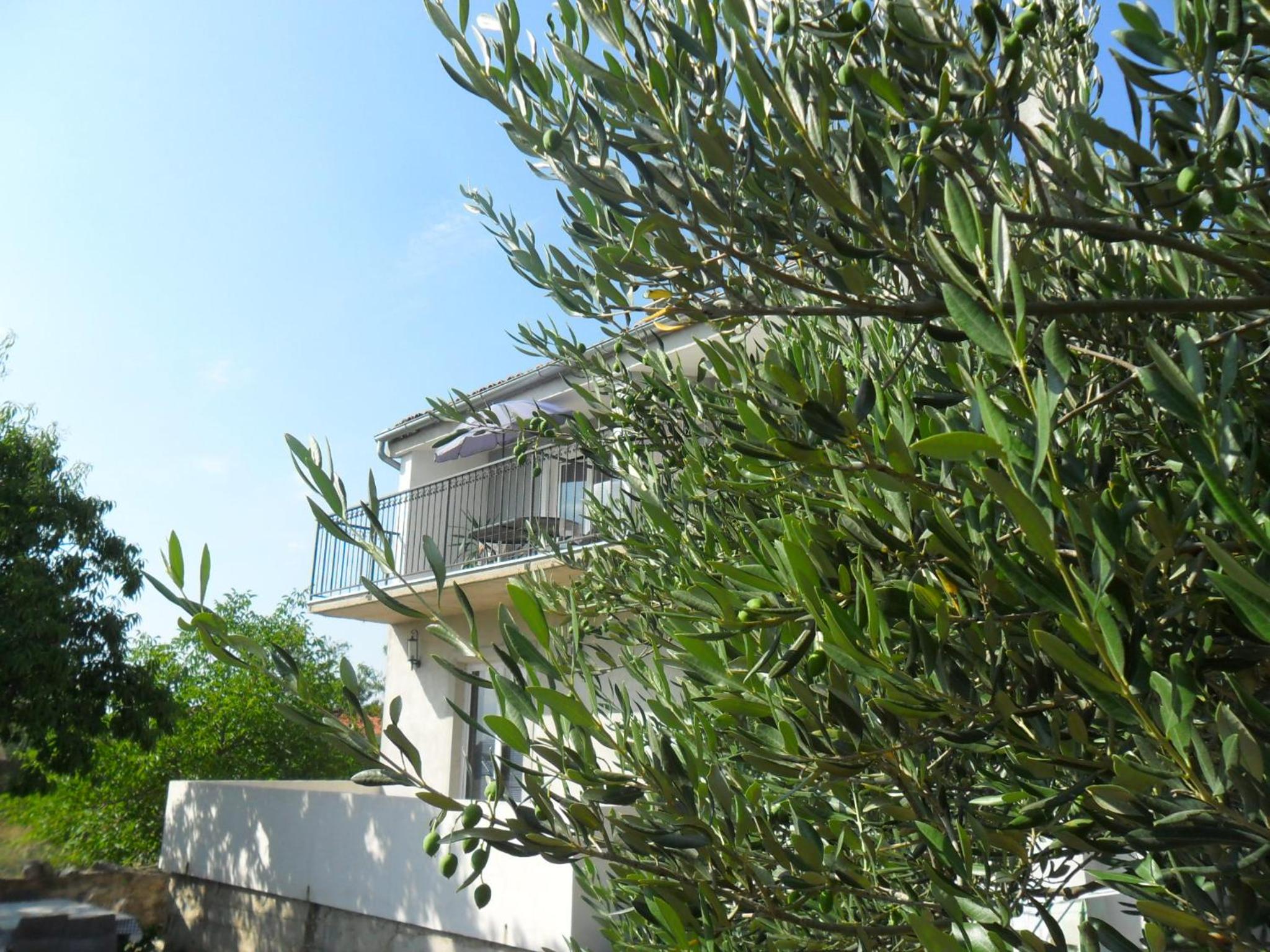 Studio Apartment - Photo 2