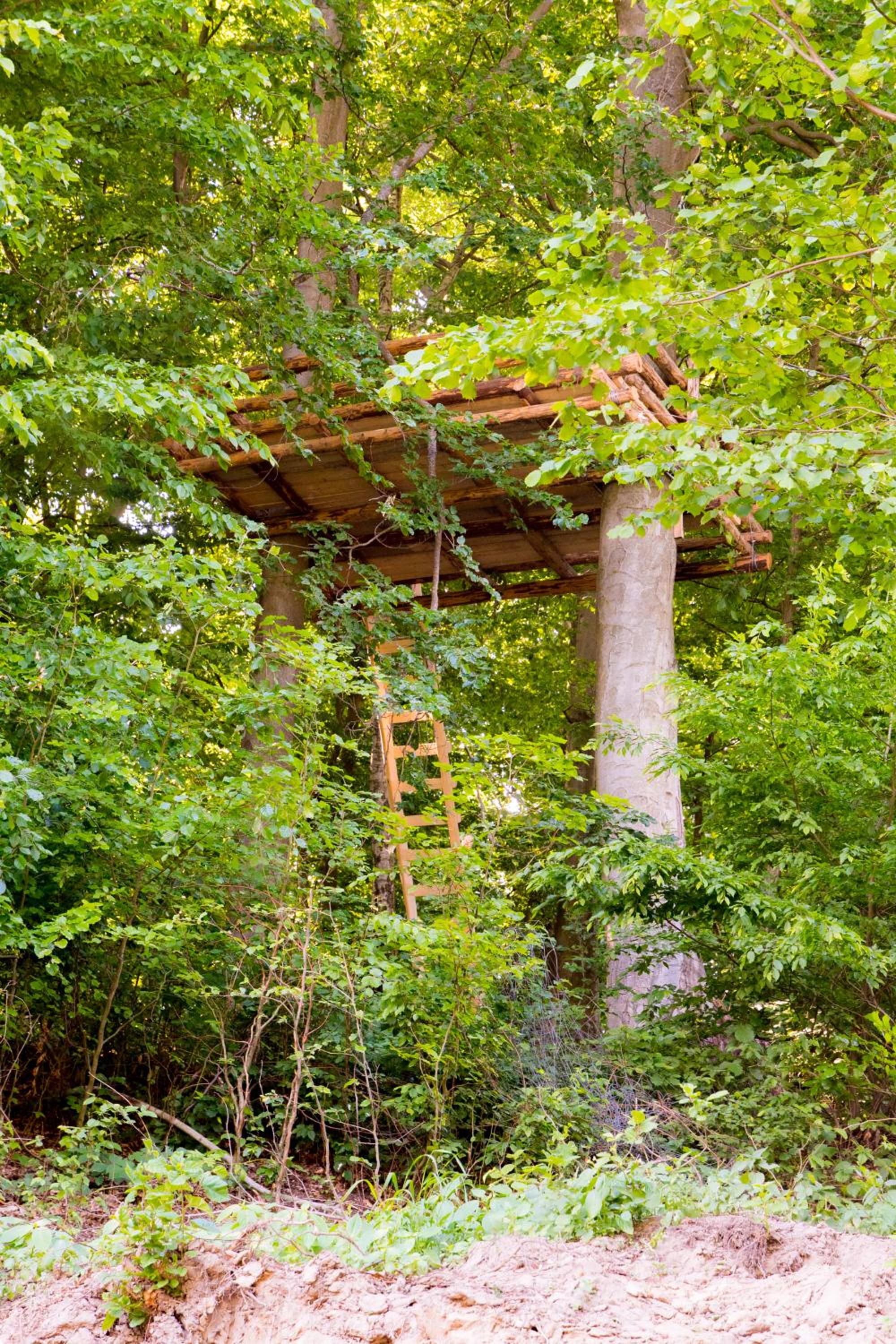 Tree House photo 2