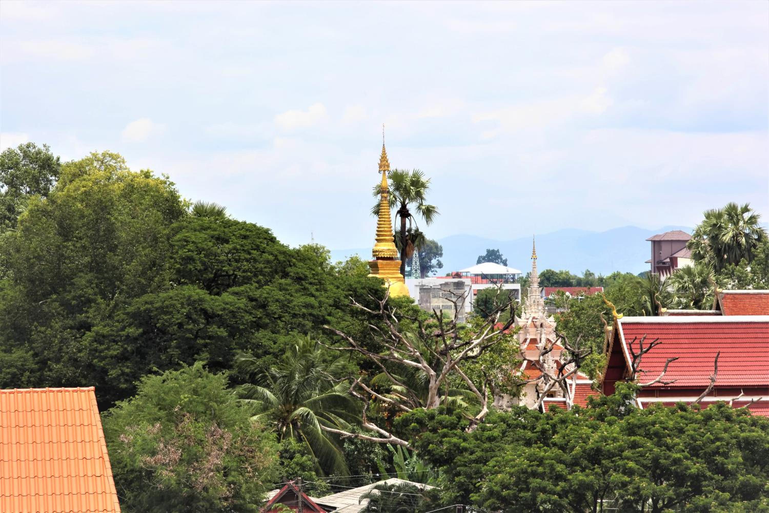 Montra Sky Roof Masterpiece - Photo 6