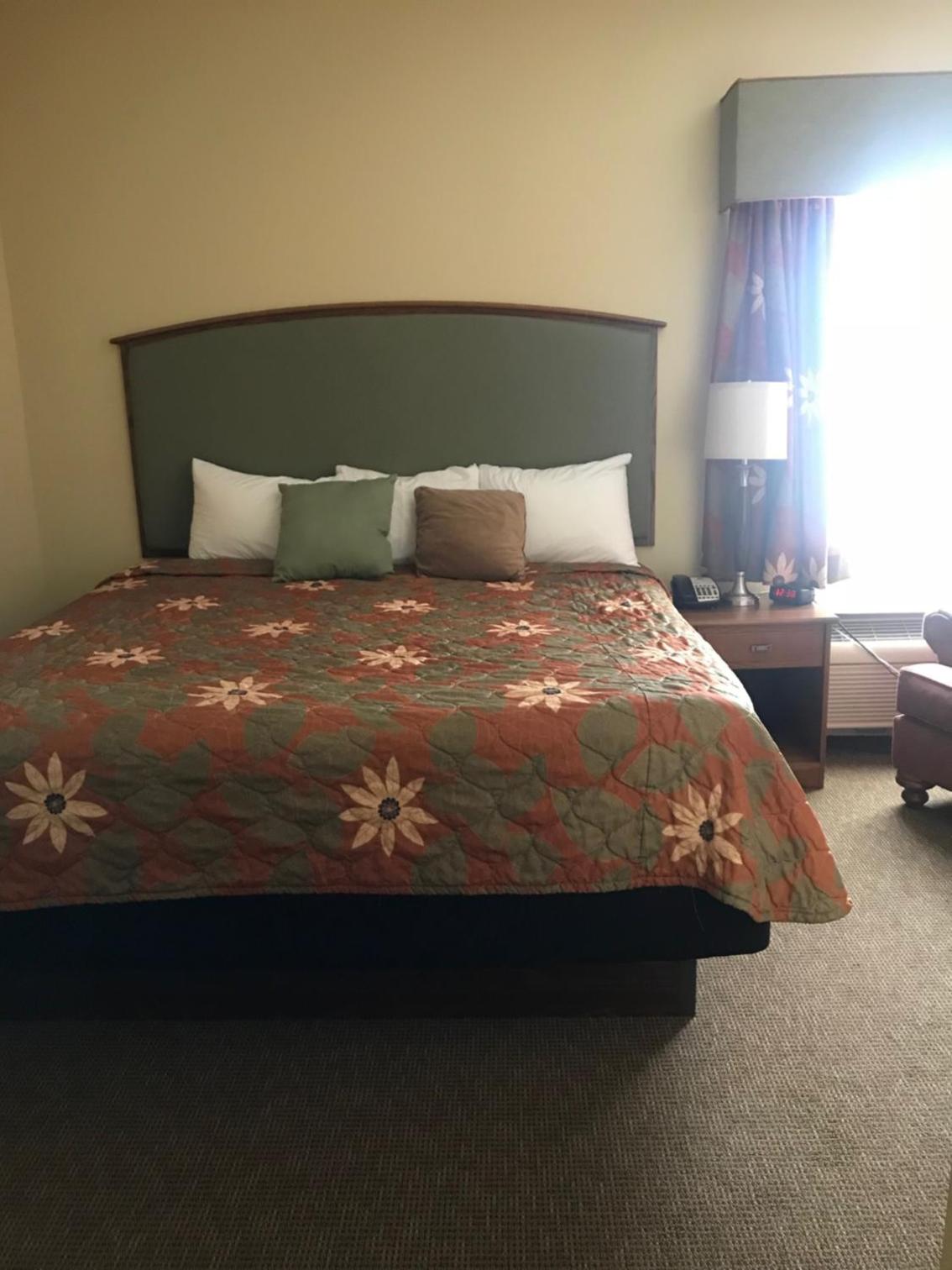 King Suite photo 2