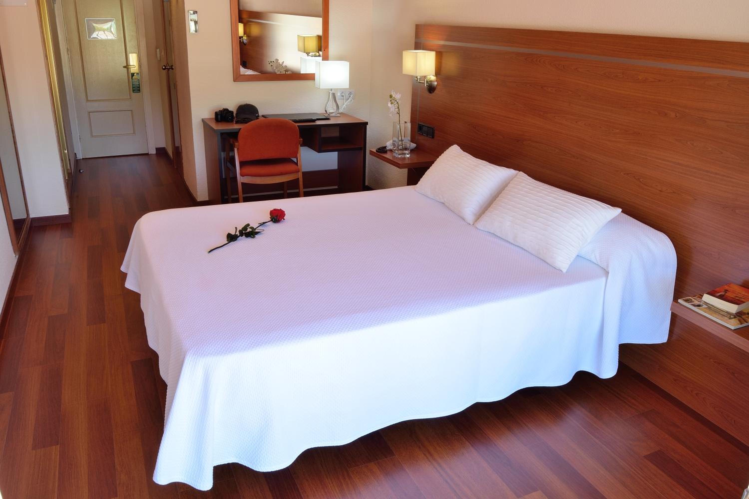 Single Room photo 3