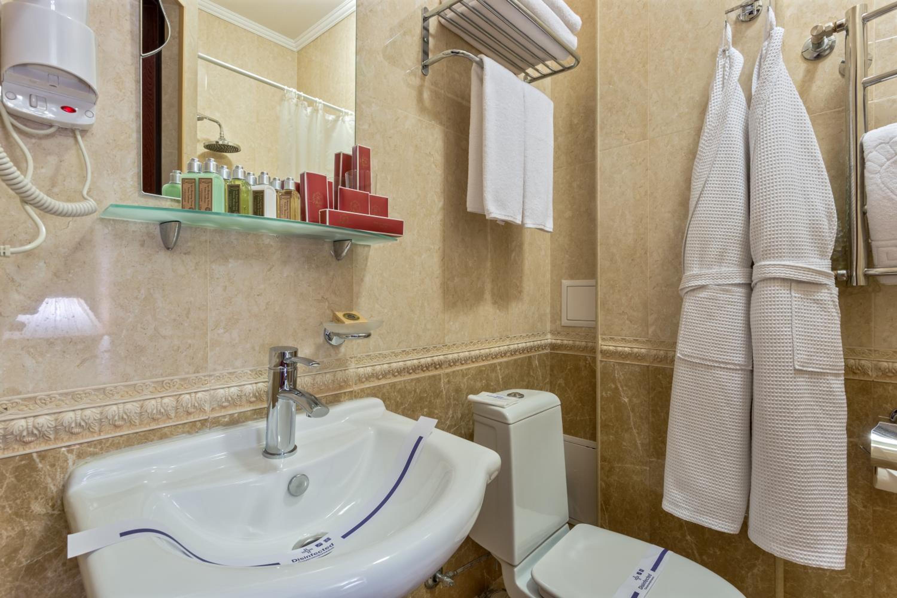 Deluxe Room with French Balcony