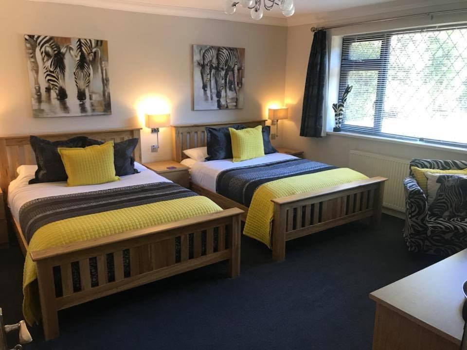 Double or Twin Room with Private Bathroom