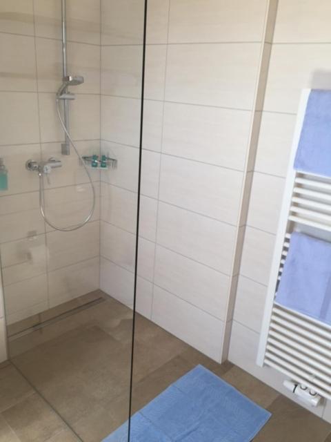 Duplex Apartment photo 3