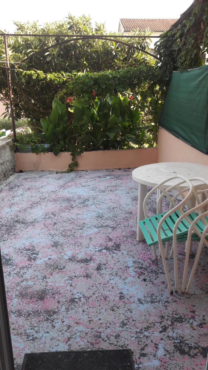Apartment with Terrace photo 3