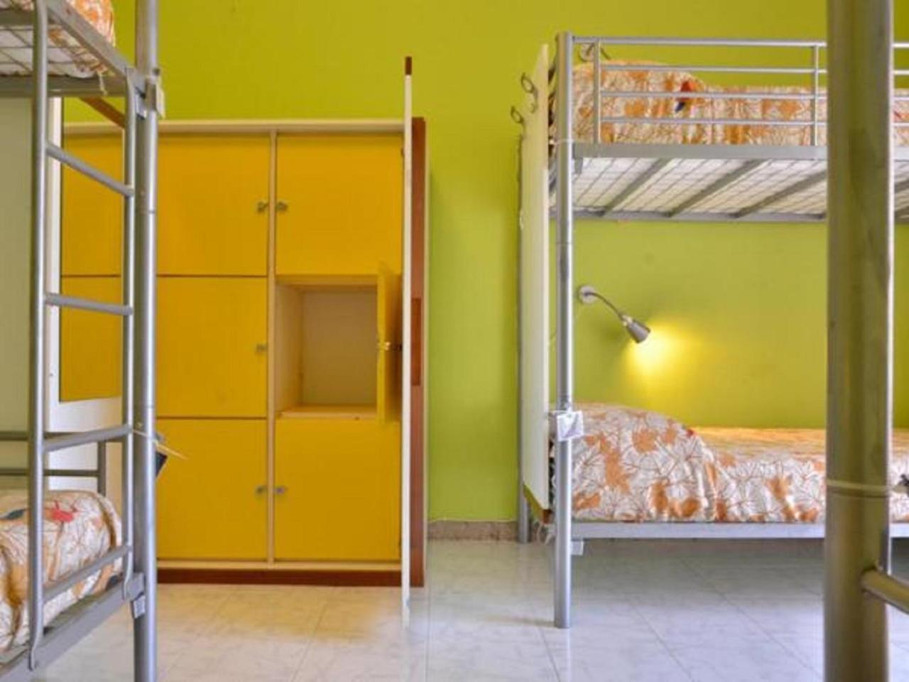 Bed In 6-Bed Mixed Dormitory Room