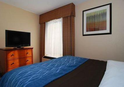 Accessible King Room - Photo 3