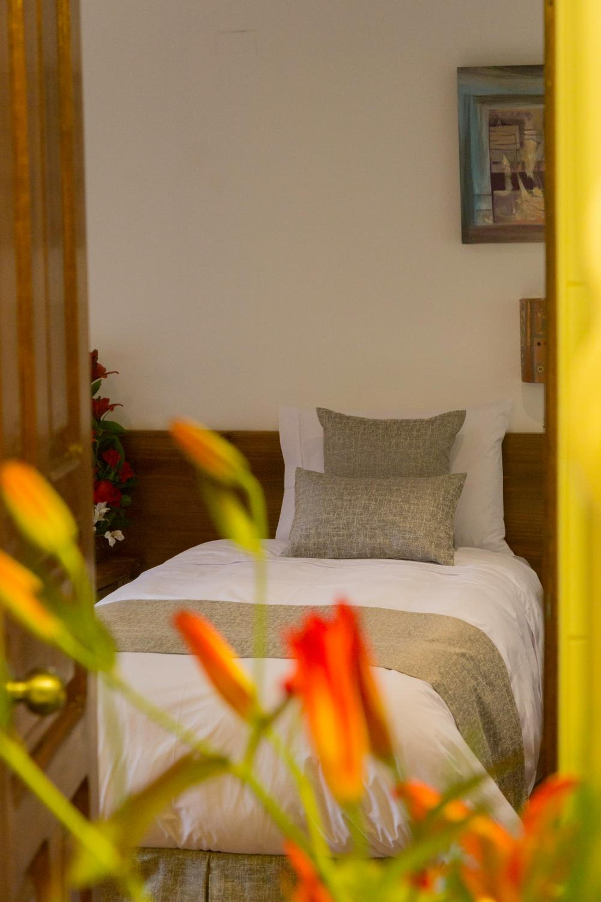 Standard Twin Room photo 1