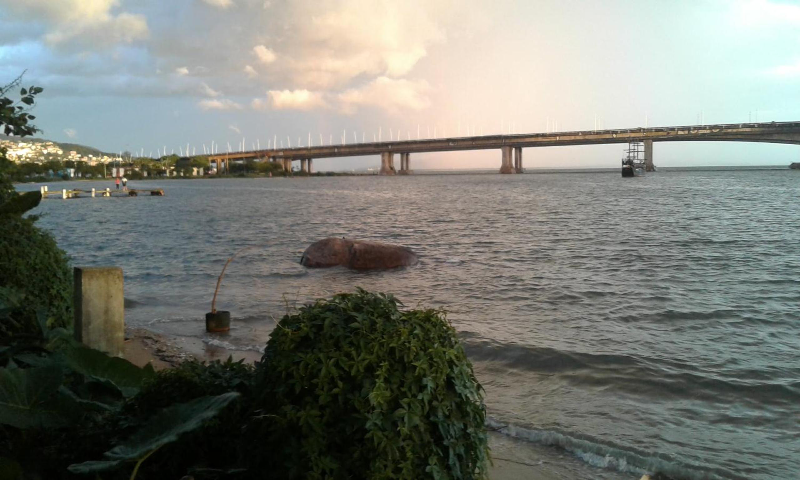 Studio with Sea View - Photo 12