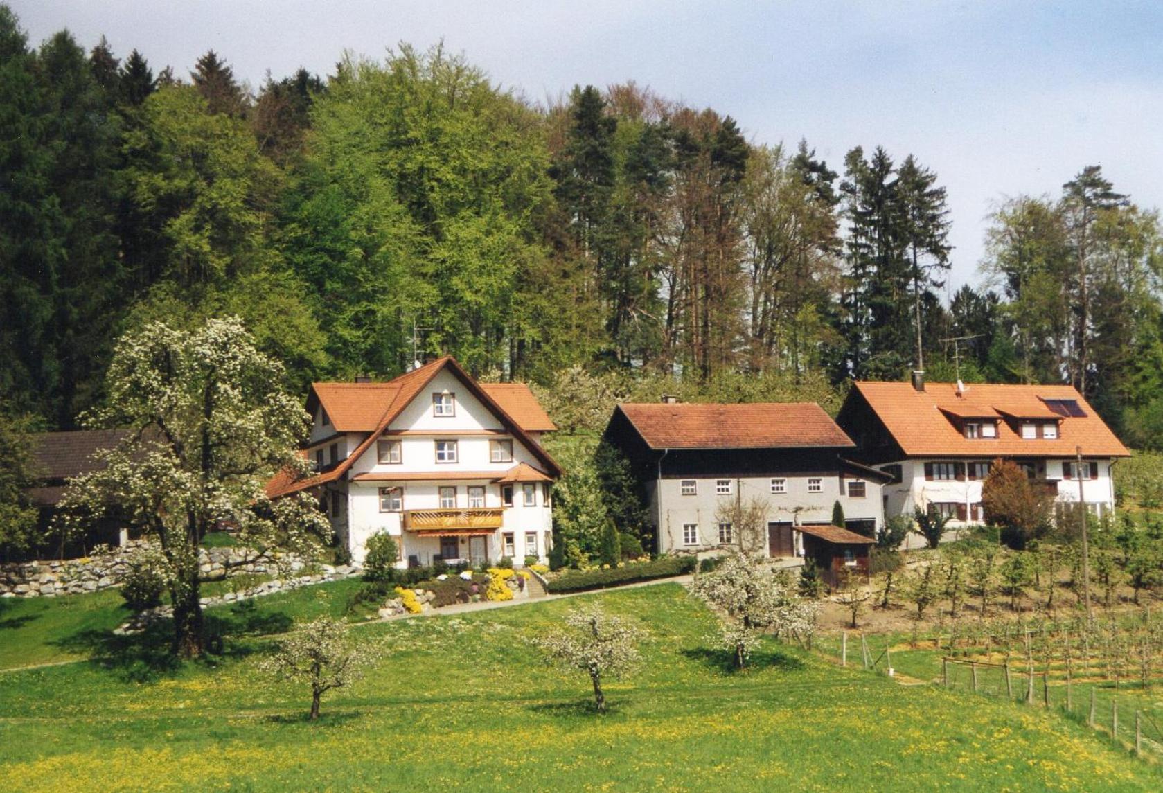 Two-Bedroom Deluxe Apartment with Garden View photo 3