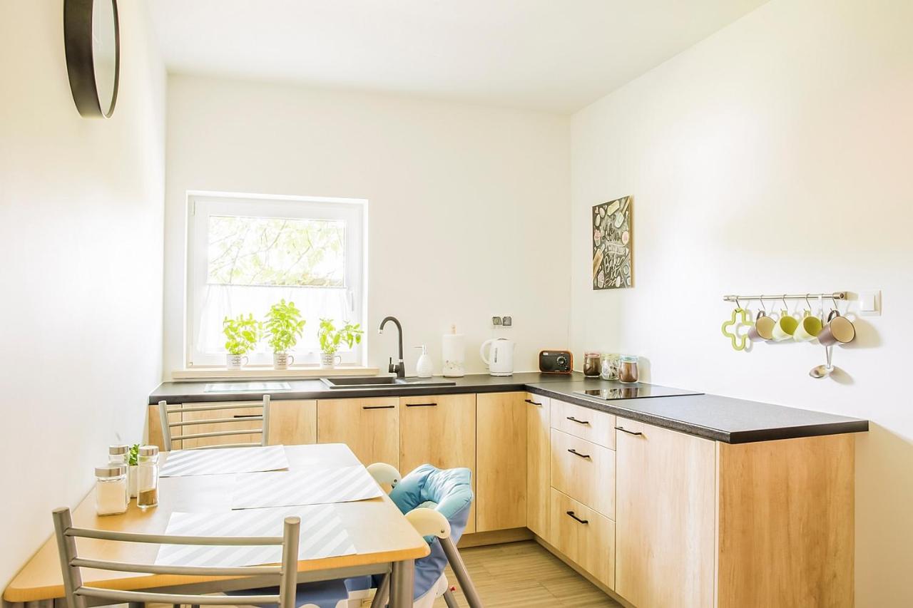 Apartment with Terrace - Photo 6