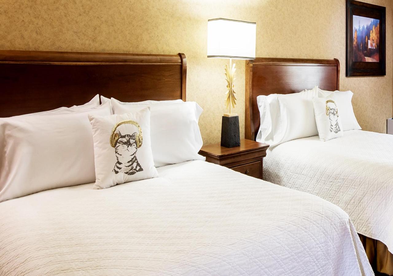 Superior Queen Room with Two Queen Beds photo 2