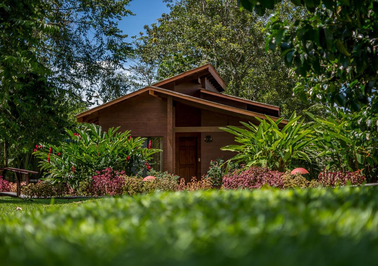 Chalet - Photo 8