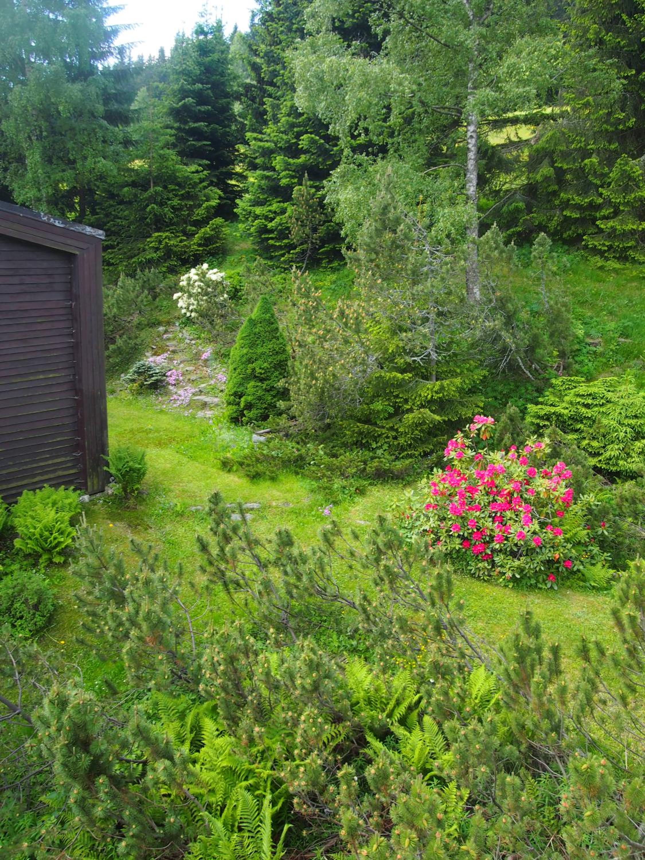 Triple Room with Garden View photo 3