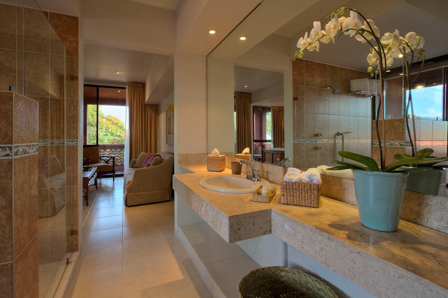 Suite with Terrace photo 3
