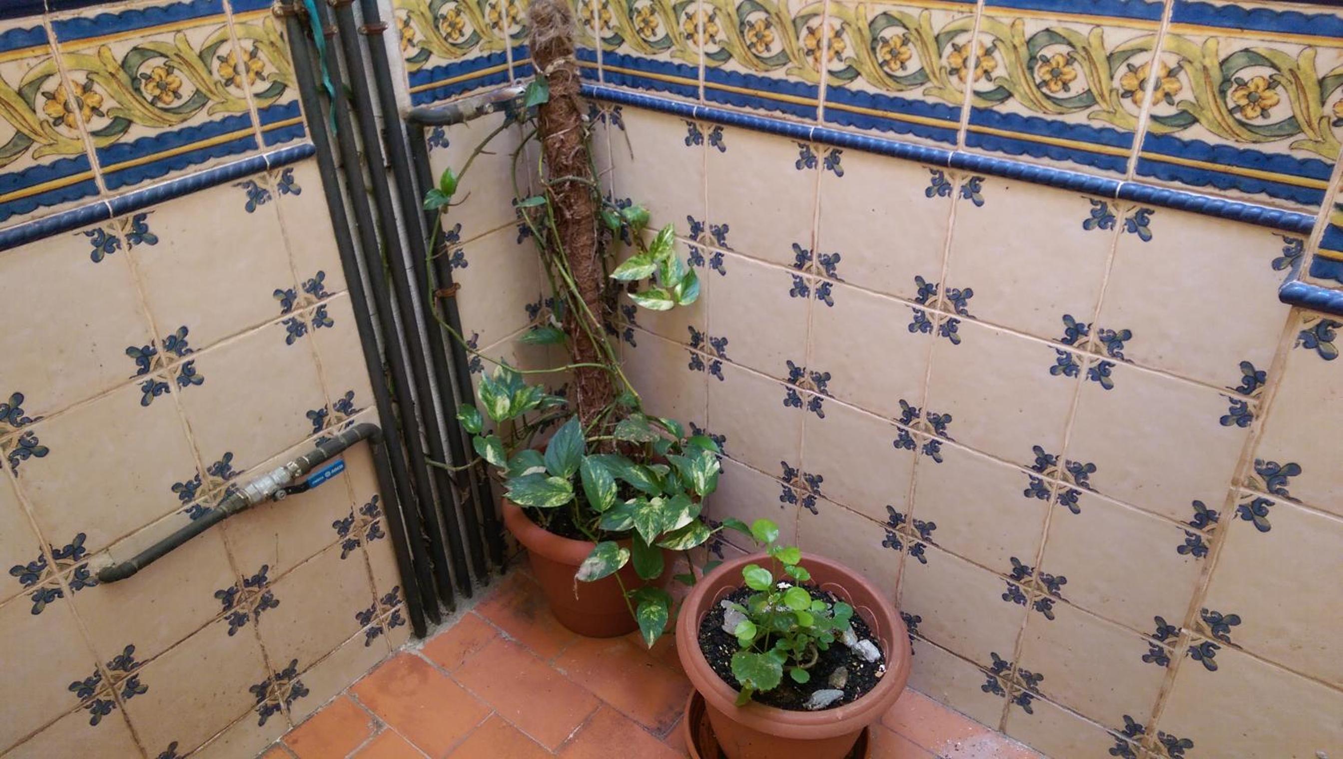 Apartment with Balcony photo 3