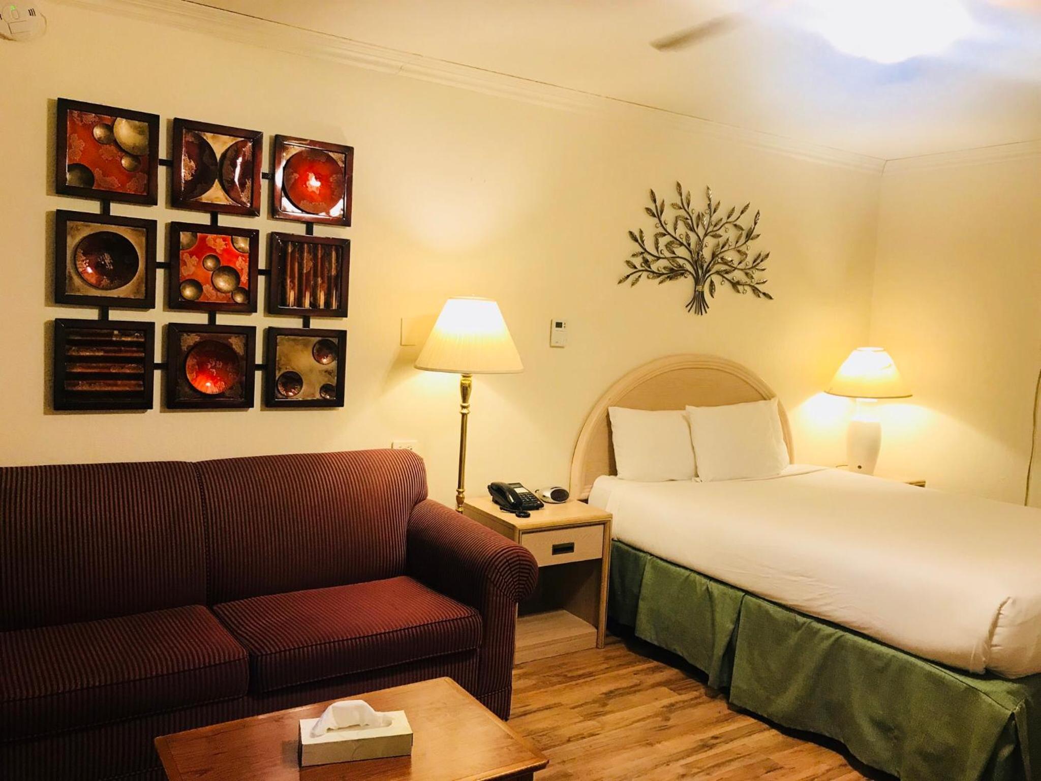 Queen Room with Sofa Bed photo 1