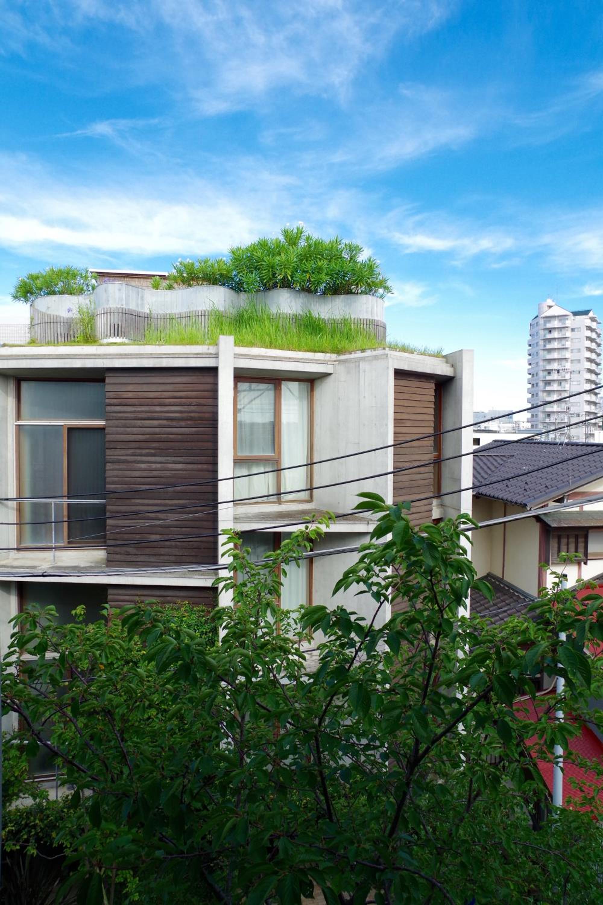 Studio Apartment with Garden View 4F - Photo 6
