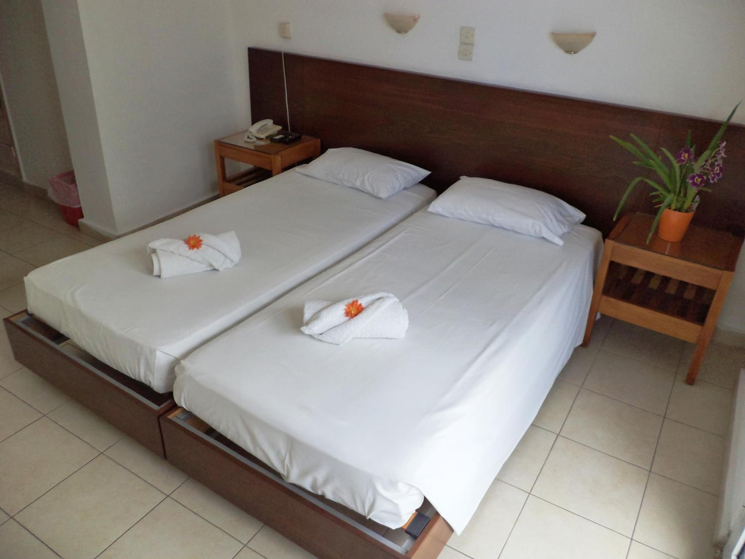 Double or Twin Room - Photo 2