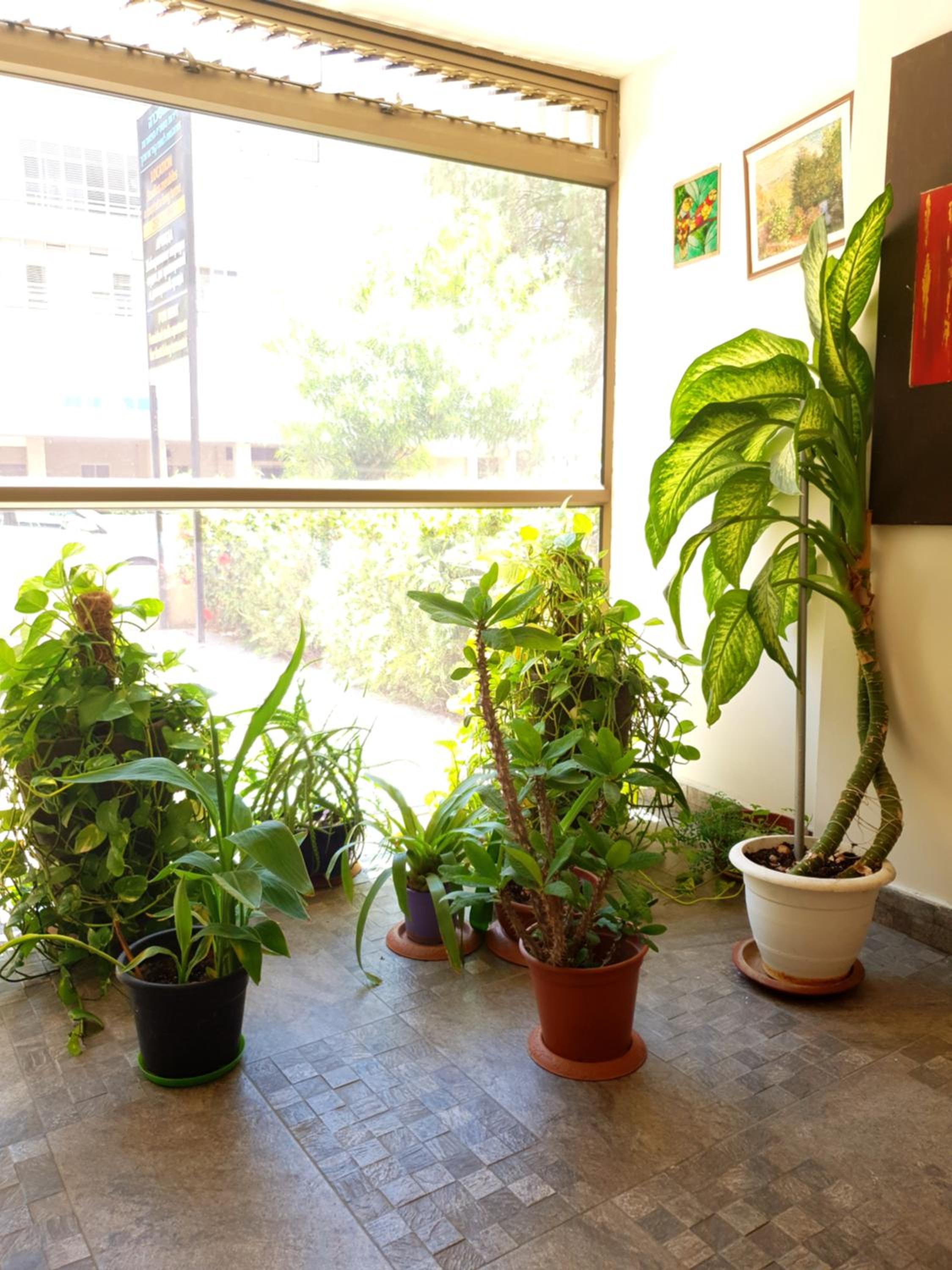 Standard Studio - Photo 8