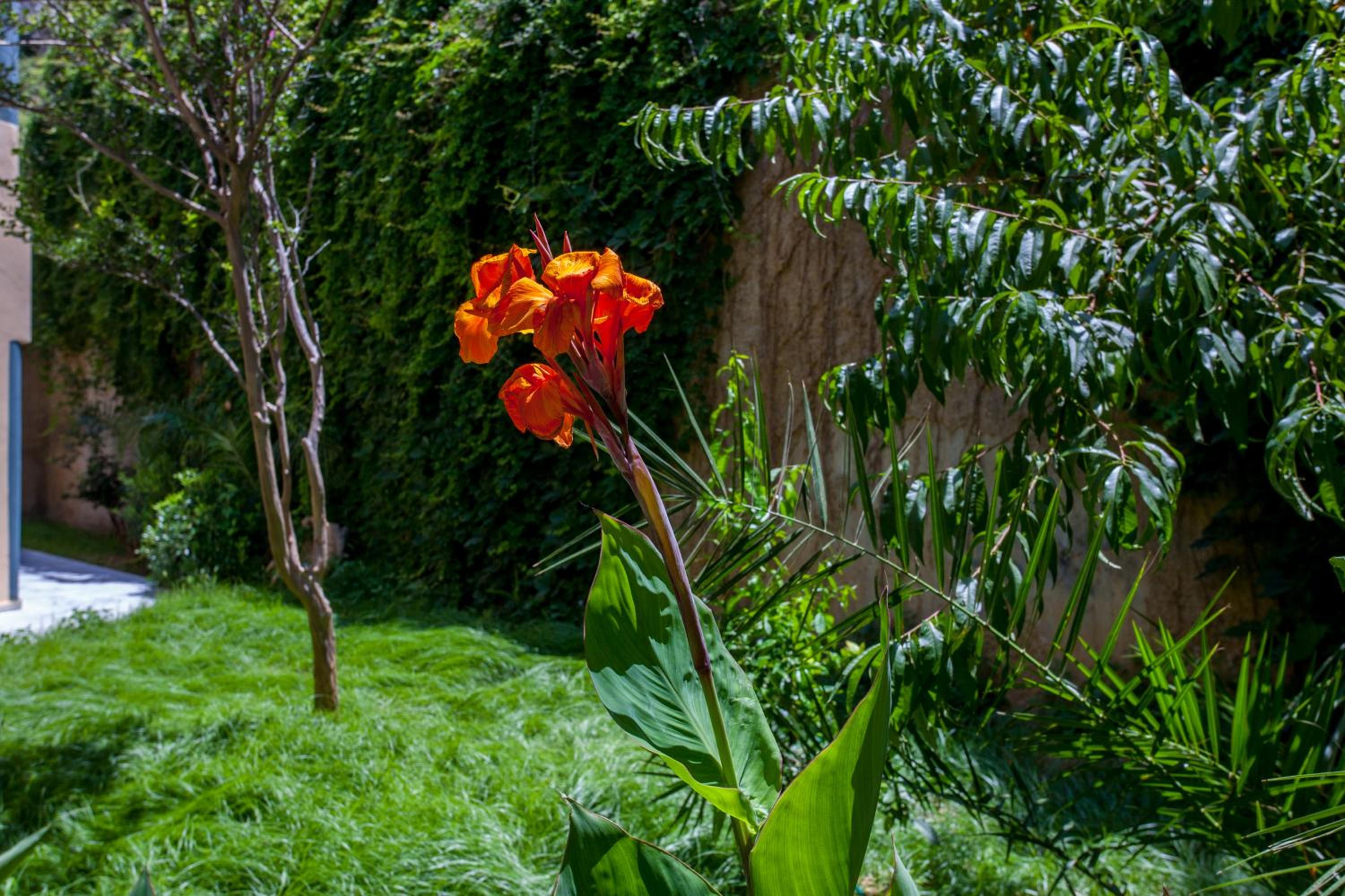 Twin Room with Garden View - Photo 4