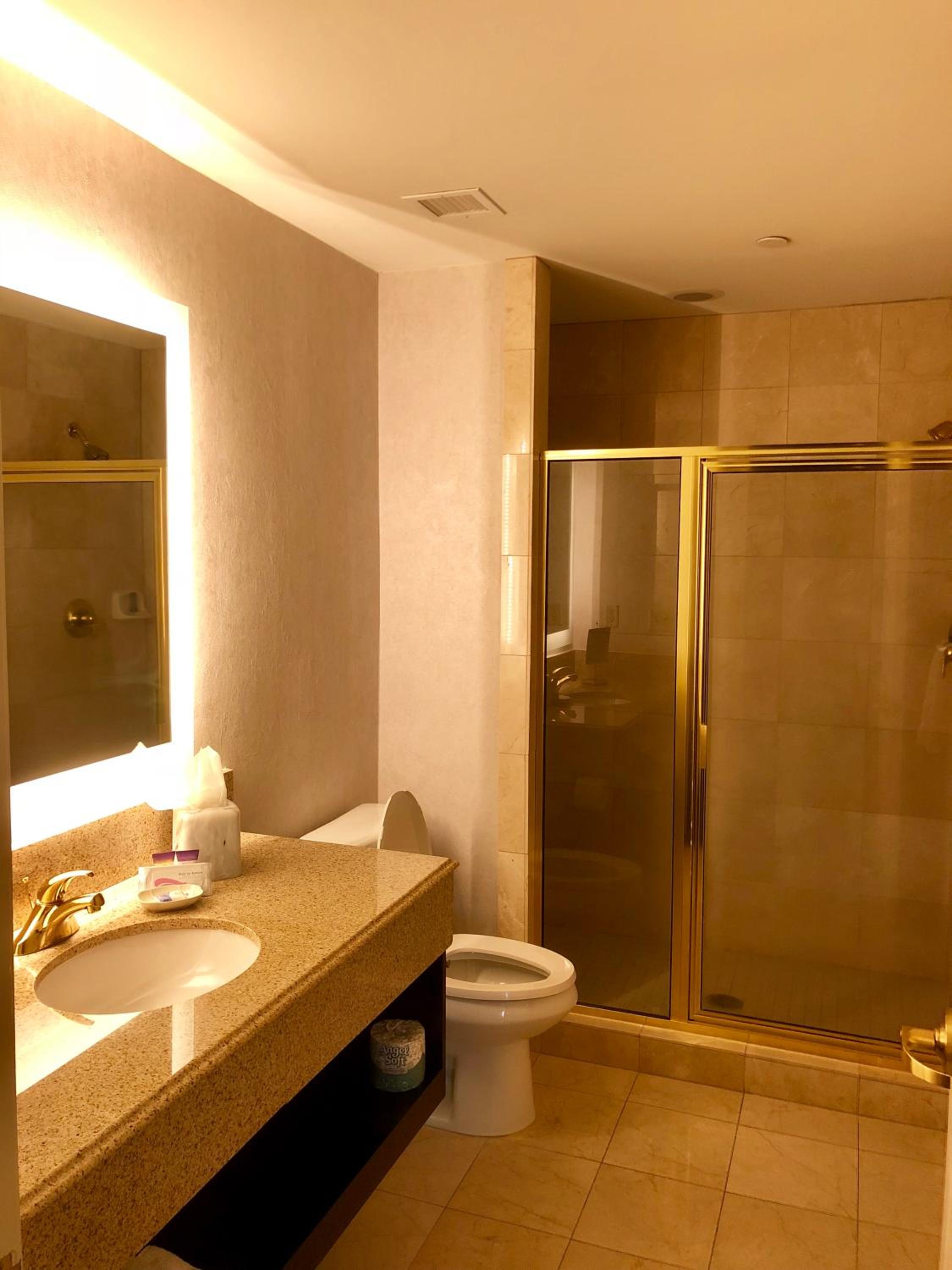 Executive Suite photo 2