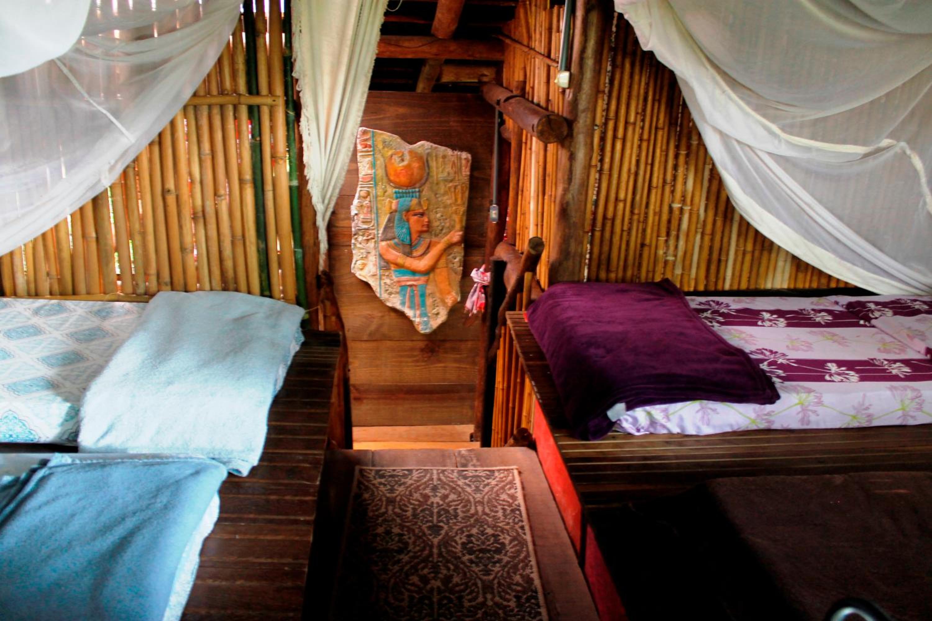 Bed in 4-Bed Female Dormitory Room photo 1