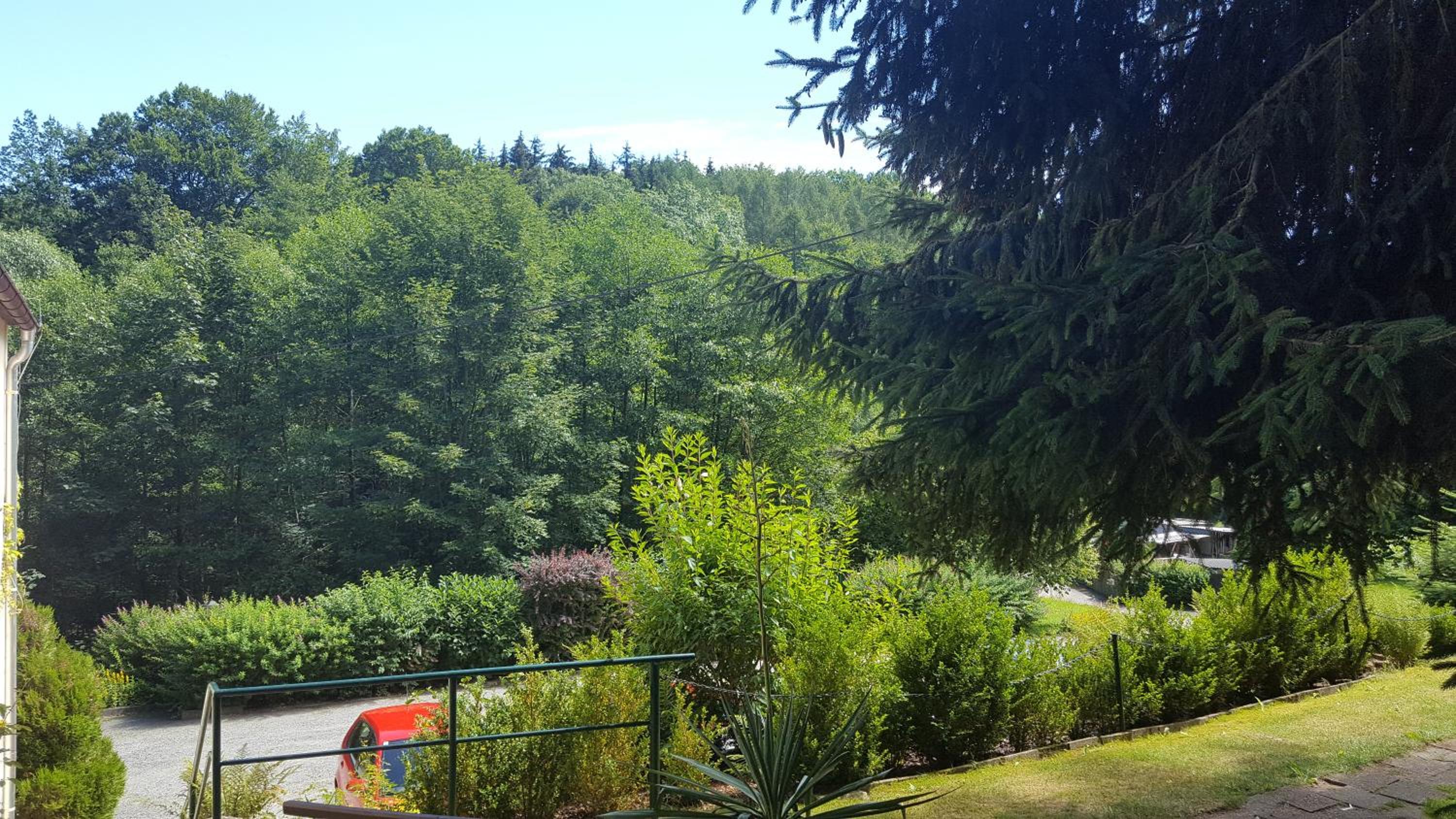 Double Room with Garden View photo 3