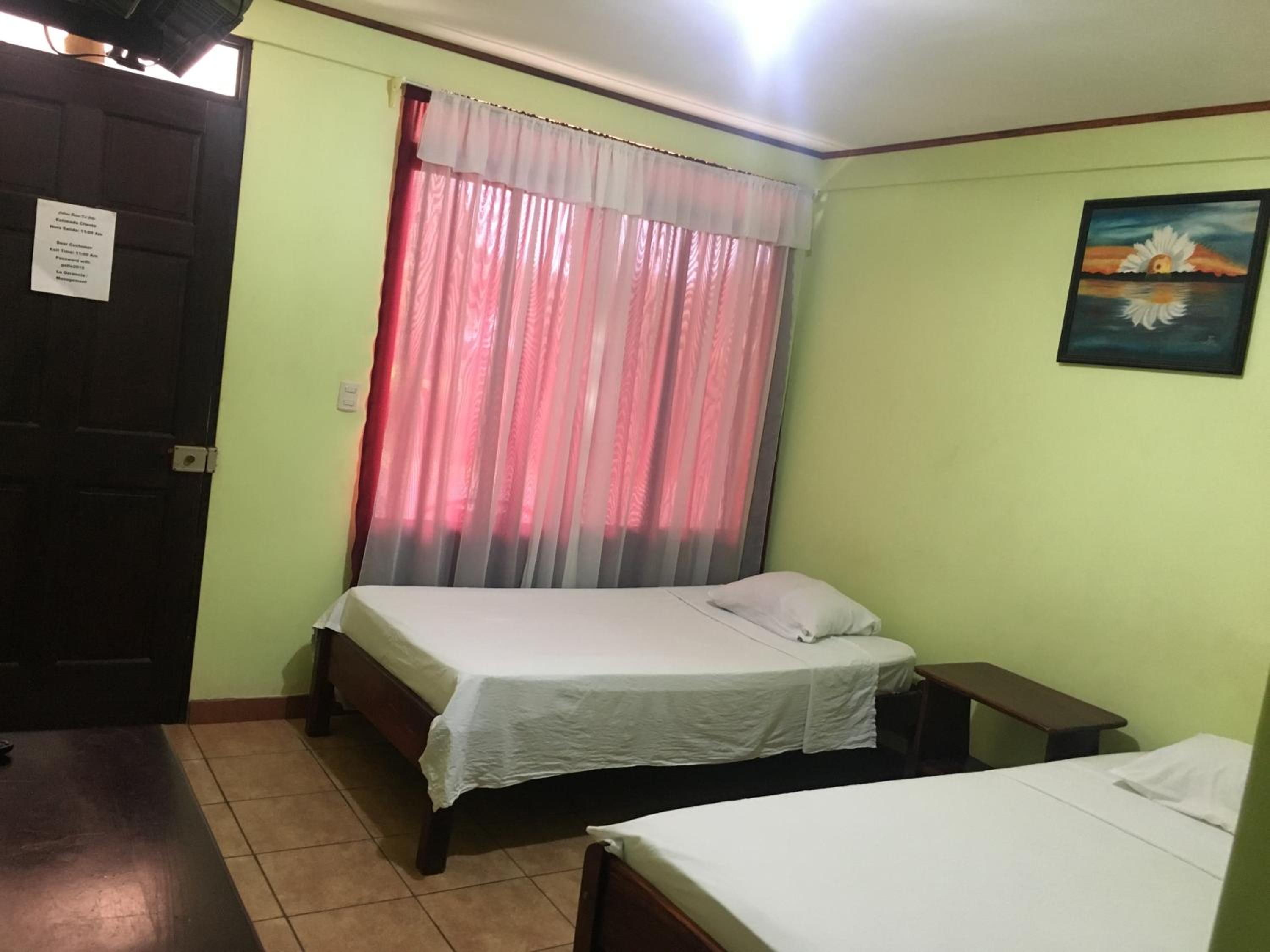 Twin Room photo 2