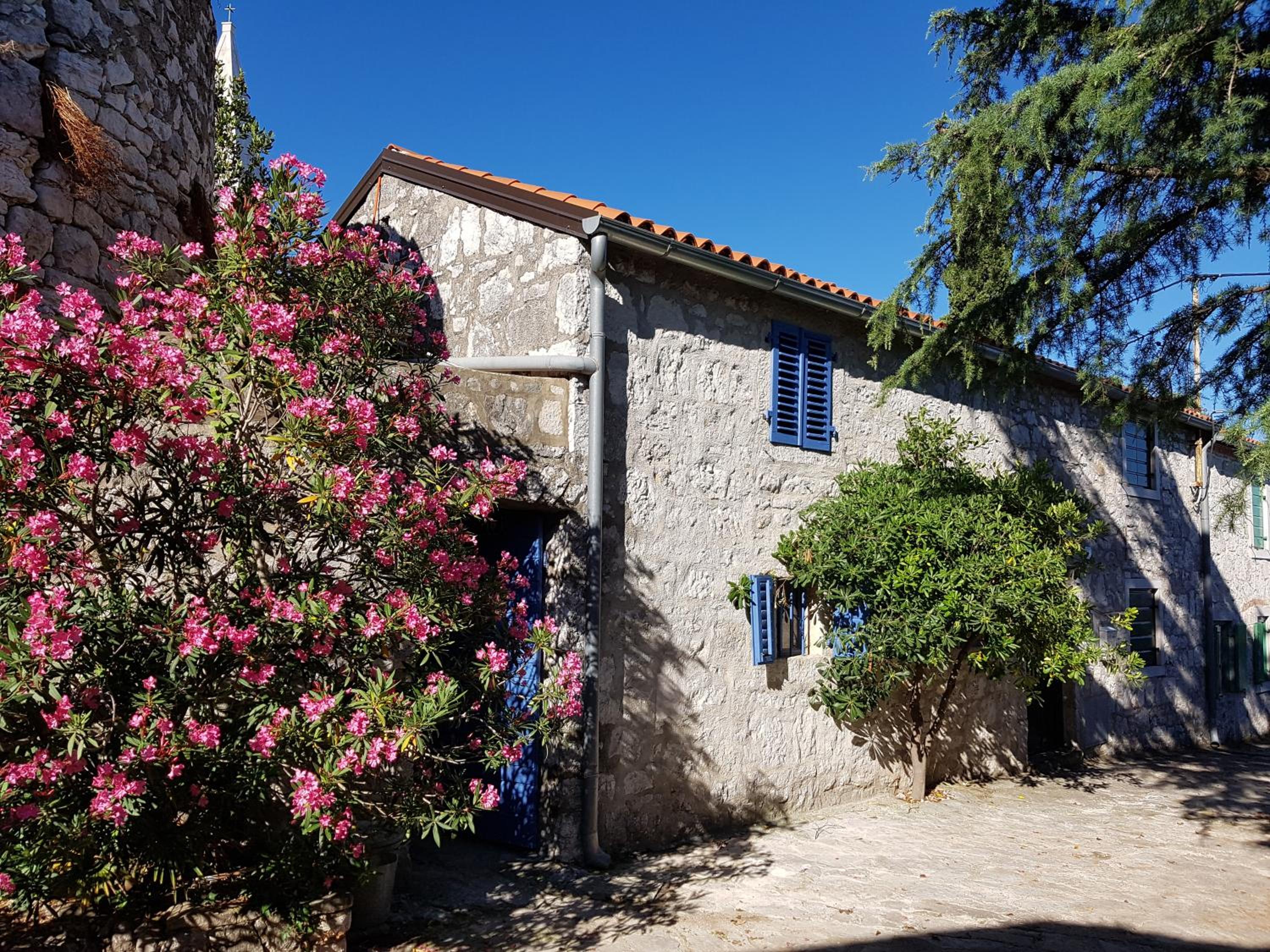 Vacation Home photo 3