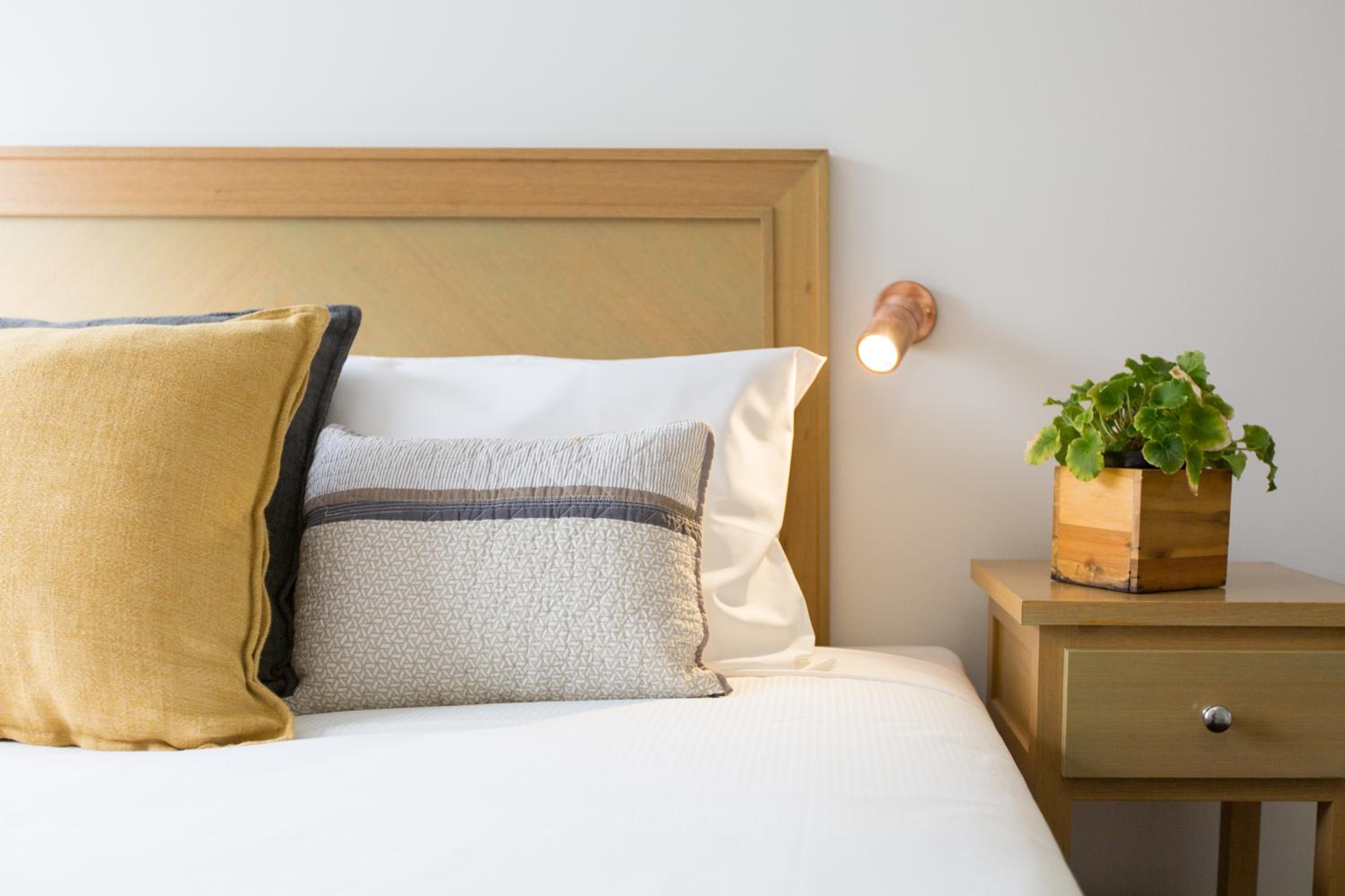 King Room photo 1