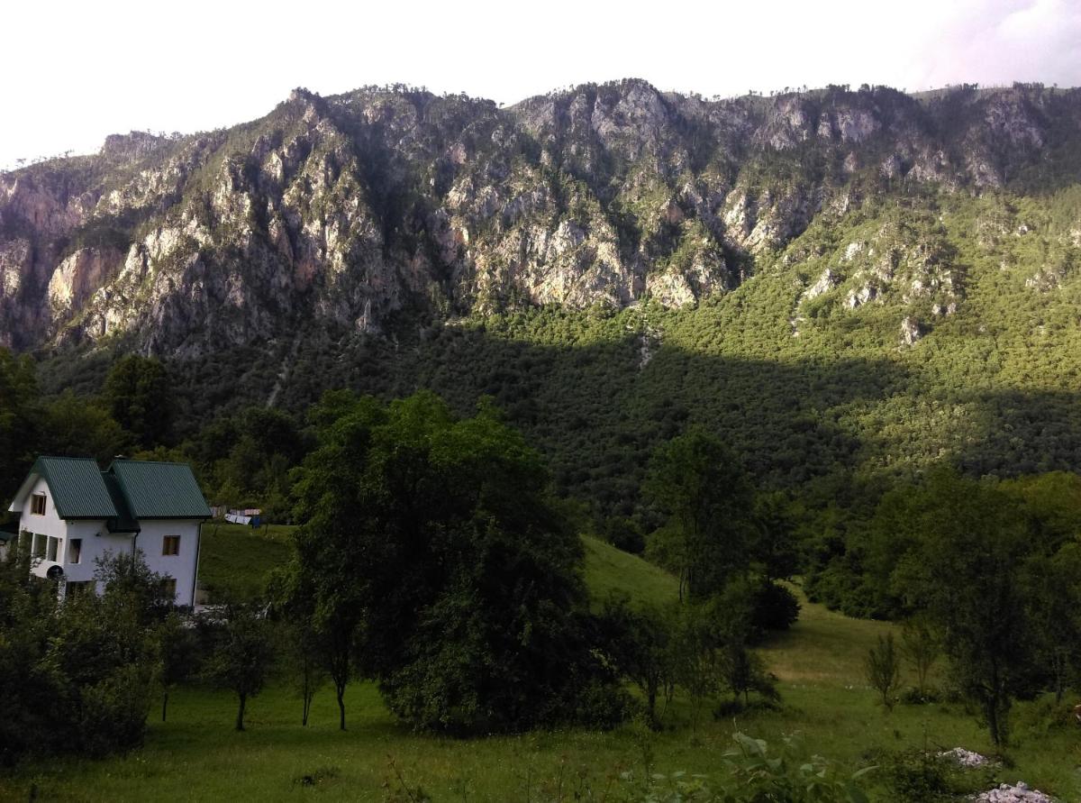 Apartment with Mountain View photo 1