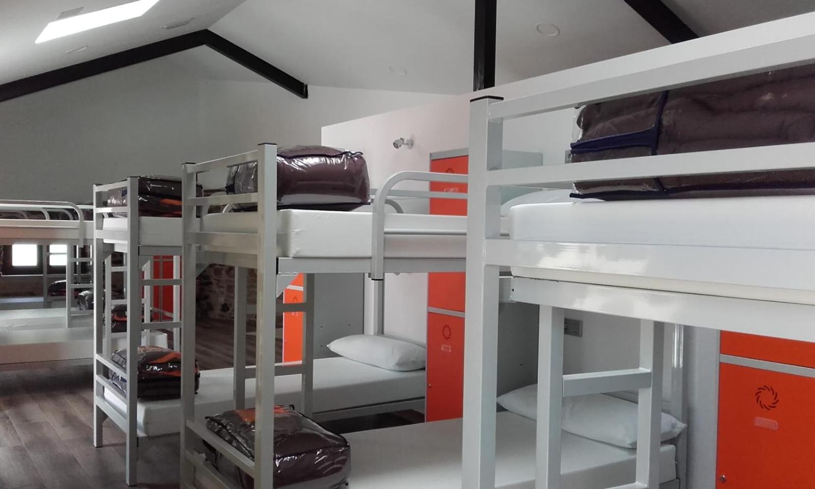 Bunk Bed in Mixed Dormitory Room photo 2