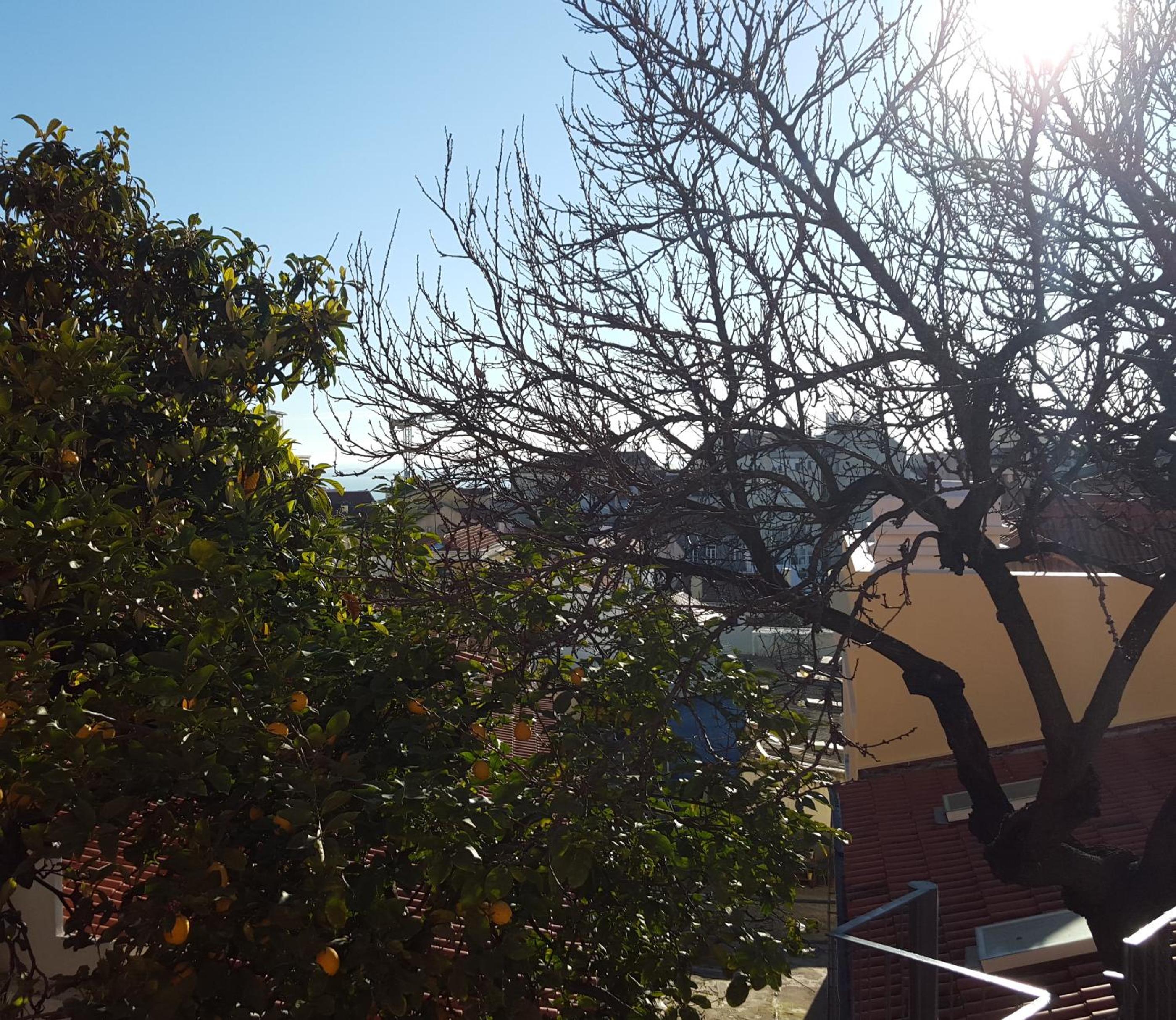 King Room with Garden View - Photo 9